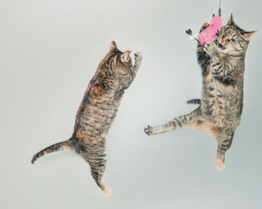 featured-case-study-01